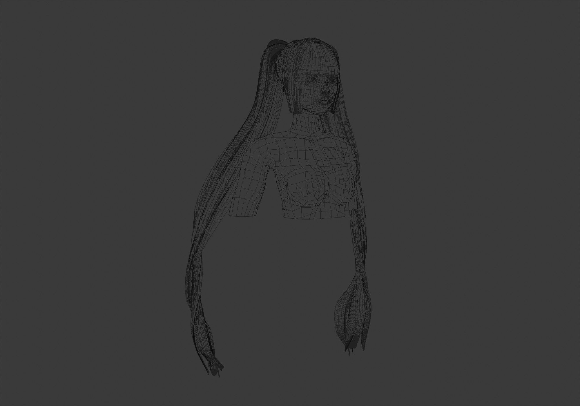 Long Ponytails Hairstyle 3D model_6