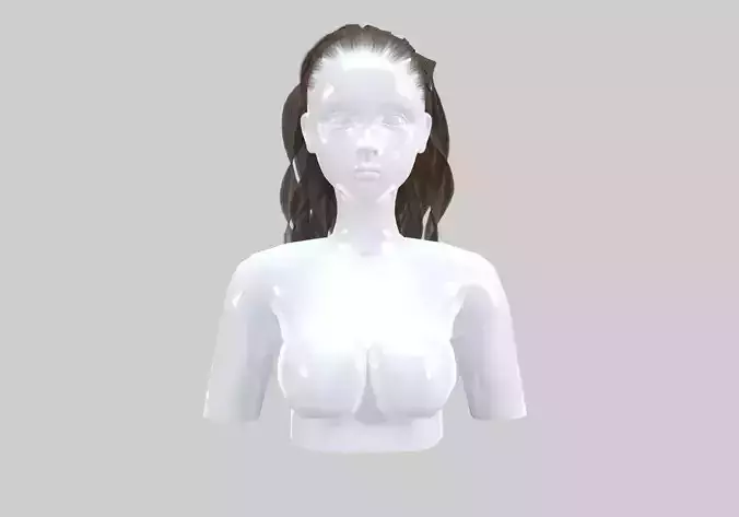 Long Ponytail Hairstyle 