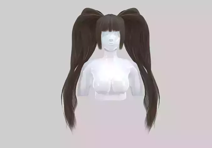 Long Pigtails Hairstyle 