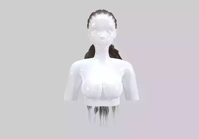 Long Pigtail Hairstyle 