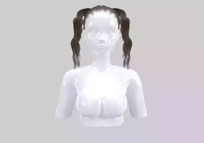 Curly Ponytails Hairstyle 