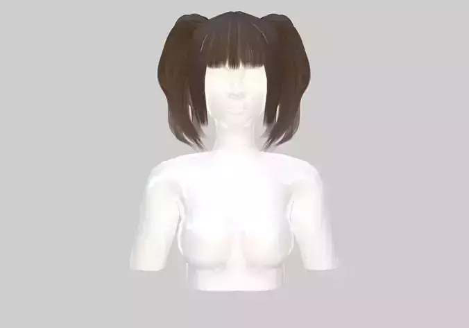 Bangs Ponytails Hairstyle 