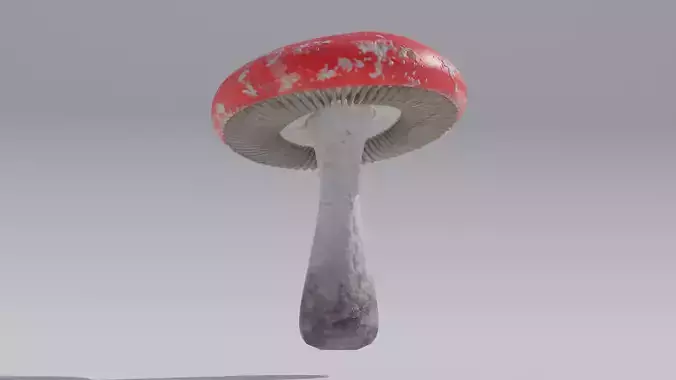 Fantasy Red Mushroom with 4K Textures 3D model