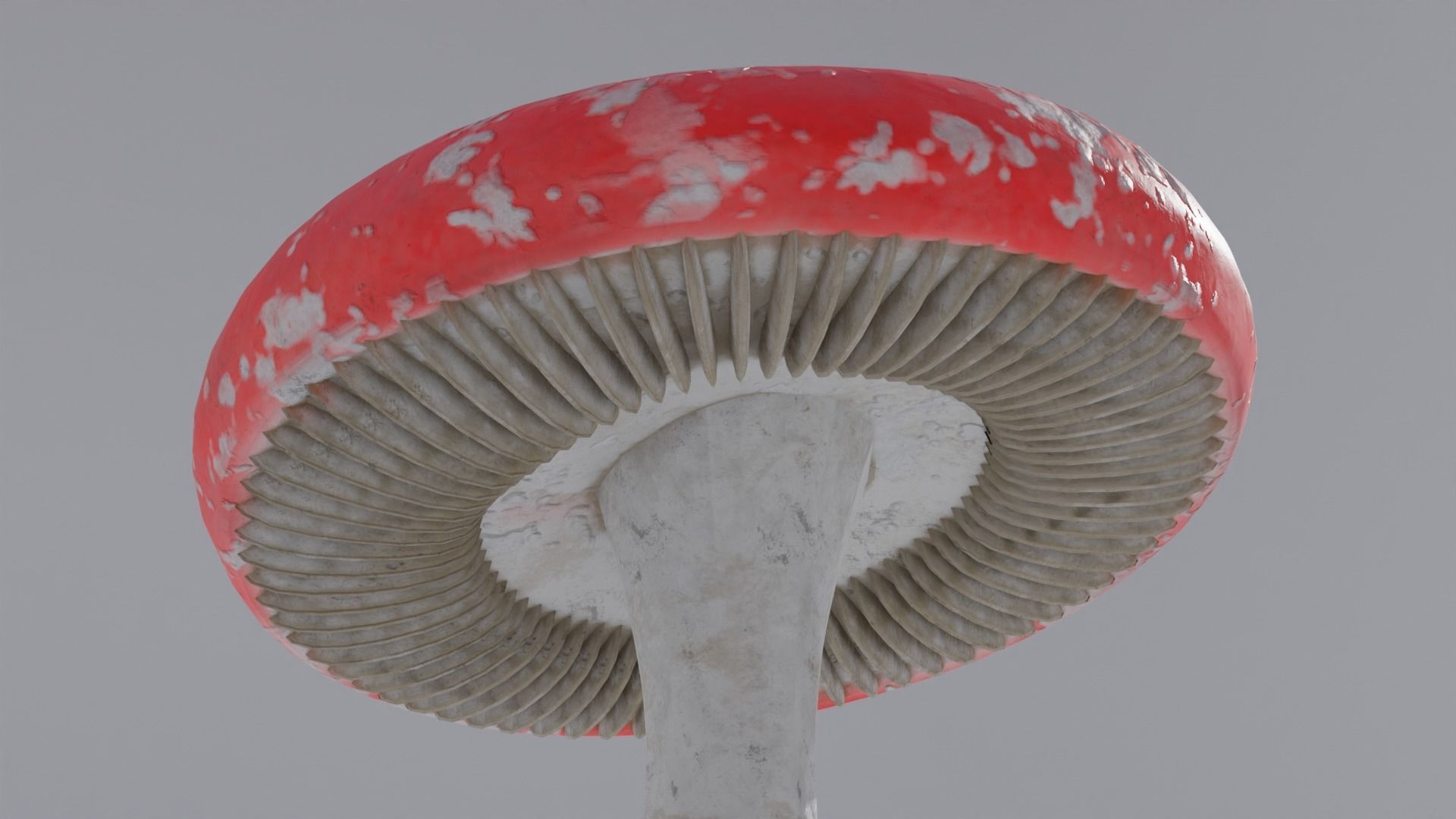 Fantasy Red Mushroom with 4K Textures 3D model_6