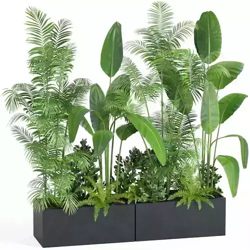 indoor plant set004