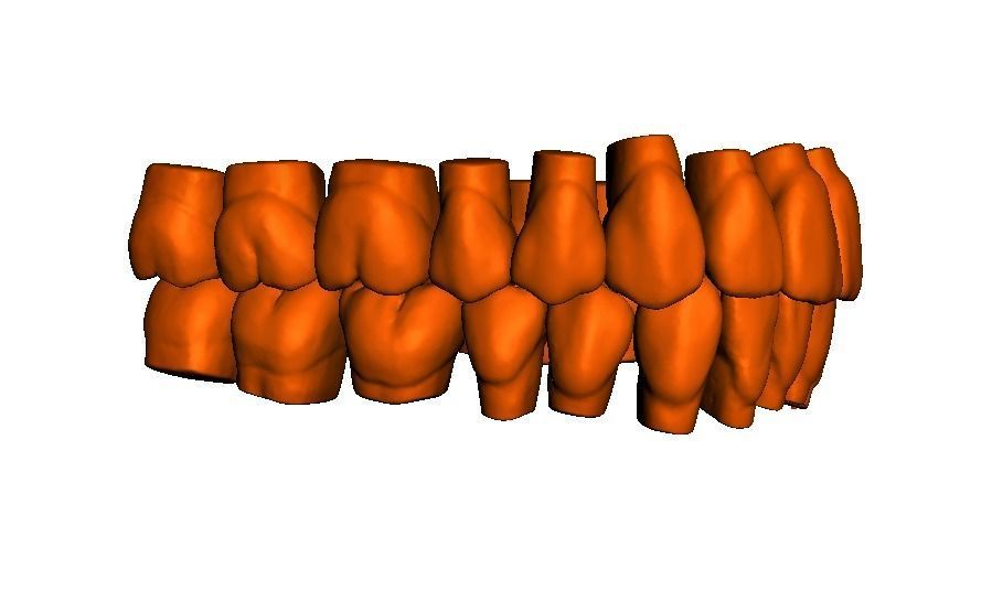  Anatomic Teeth Upper Lower Arch 3D Model Low-poly 3D model_2