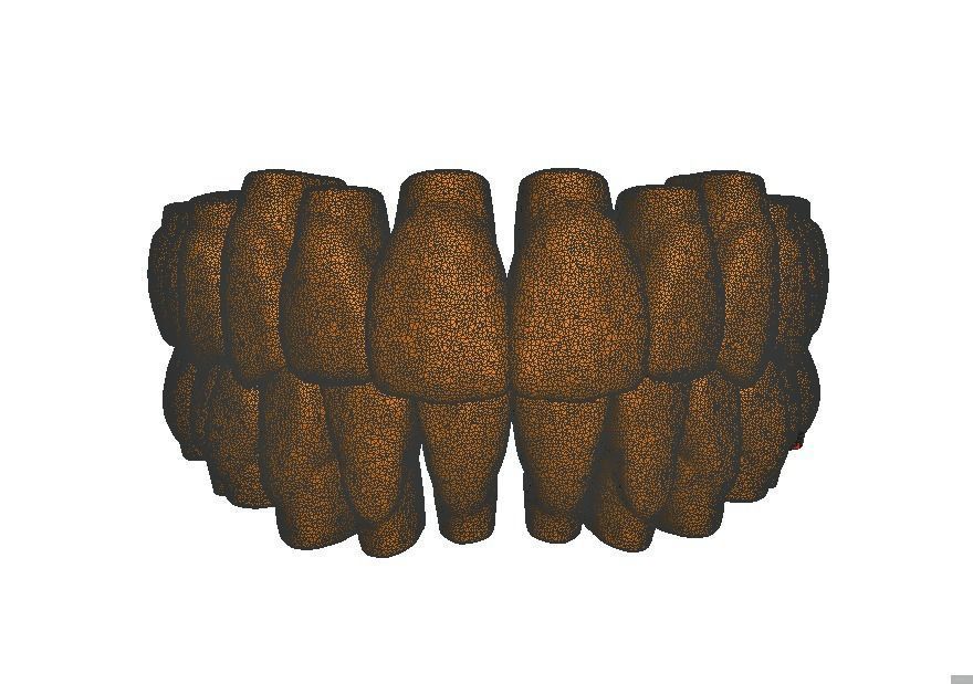  Anatomic Teeth Upper Lower Arch 3D Model Low-poly 3D model_6