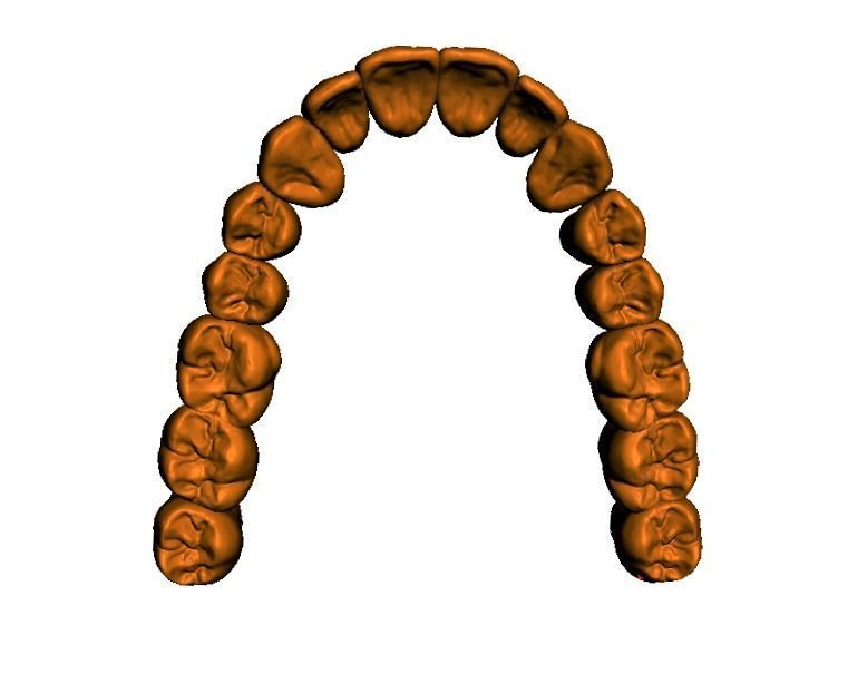  Anatomic Teeth Upper Lower Arch 3D Model Low-poly 3D model_4