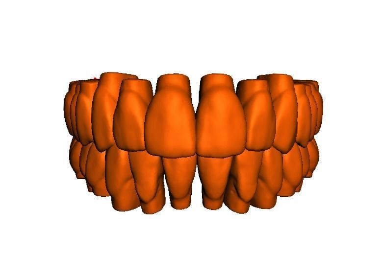  Anatomic Teeth Upper Lower Arch 3D Model Low-poly 3D model_1
