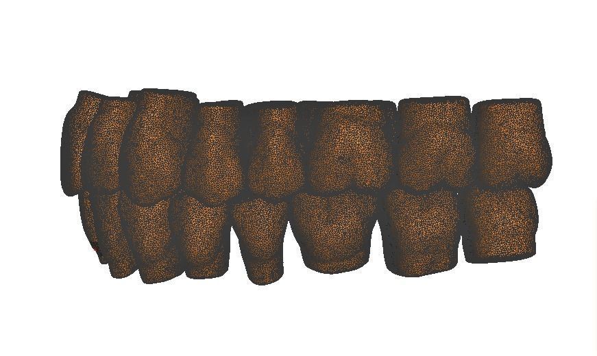  Anatomic Teeth Upper Lower Arch 3D Model Low-poly 3D model_8