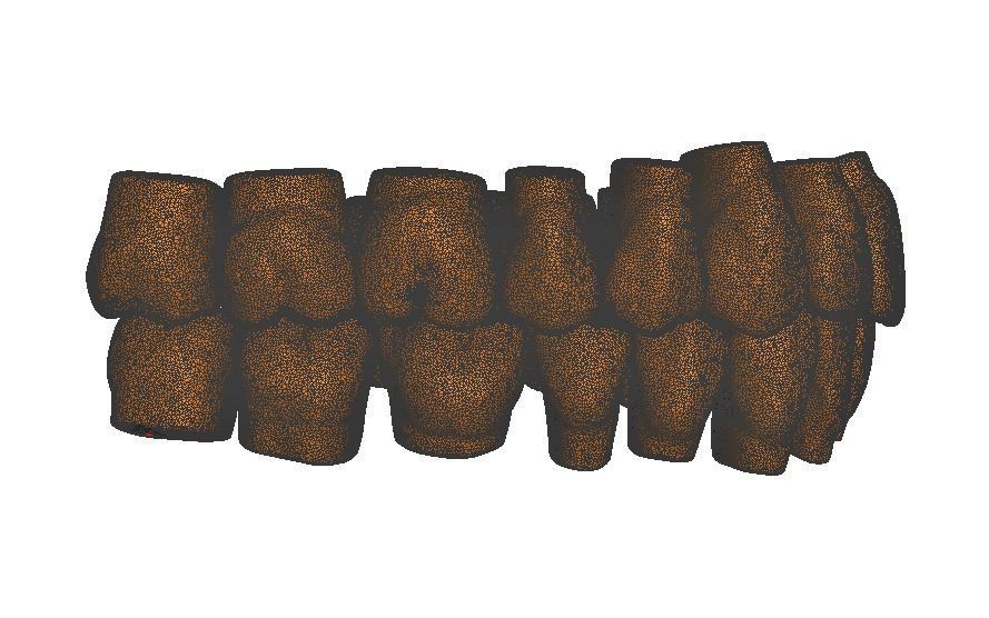  Anatomic Teeth Upper Lower Arch 3D Model Low-poly 3D model_7