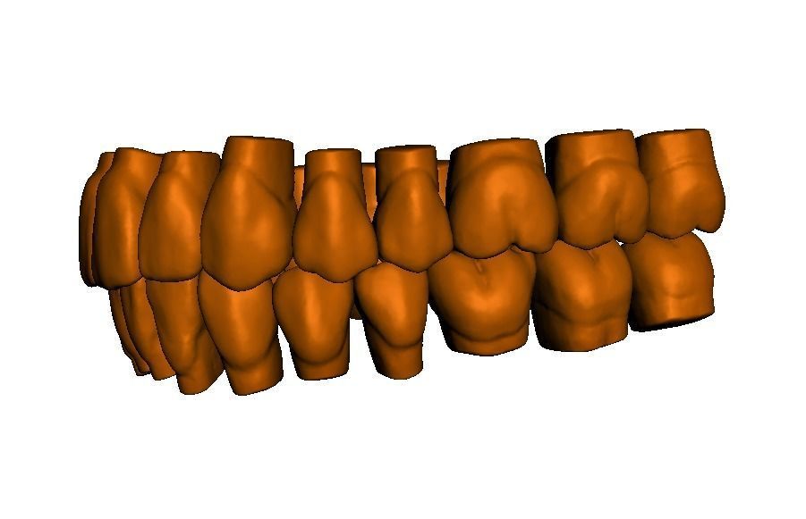  Anatomic Teeth Upper Lower Arch 3D Model Low-poly 3D model_3