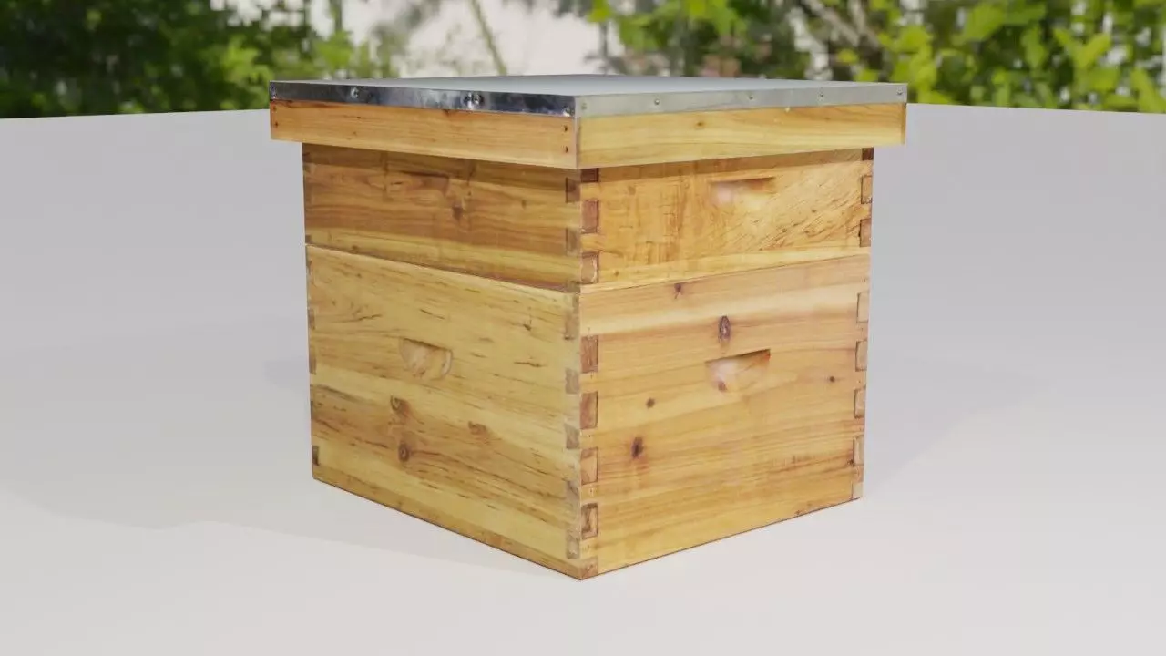 Beehive wooden box Free 3D model_0