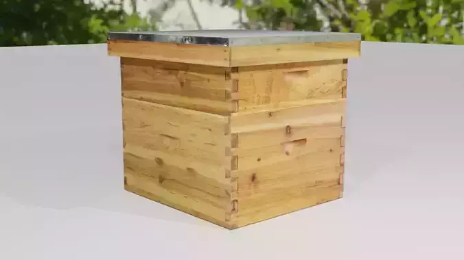 Beehive wooden box