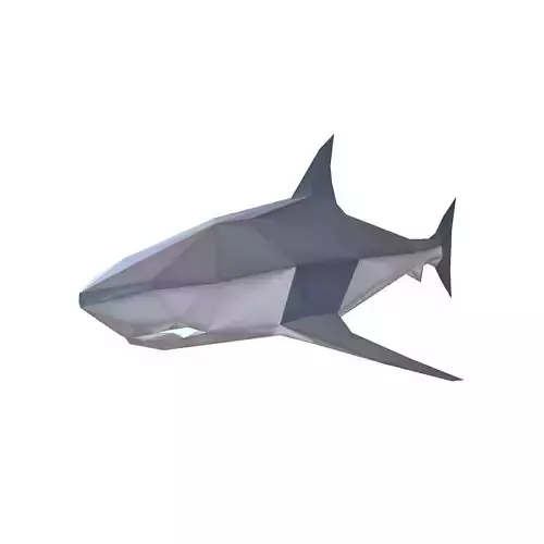 Low Poly Shark v1 008