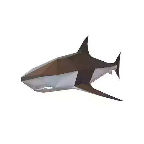 Low Poly Shark v1 009