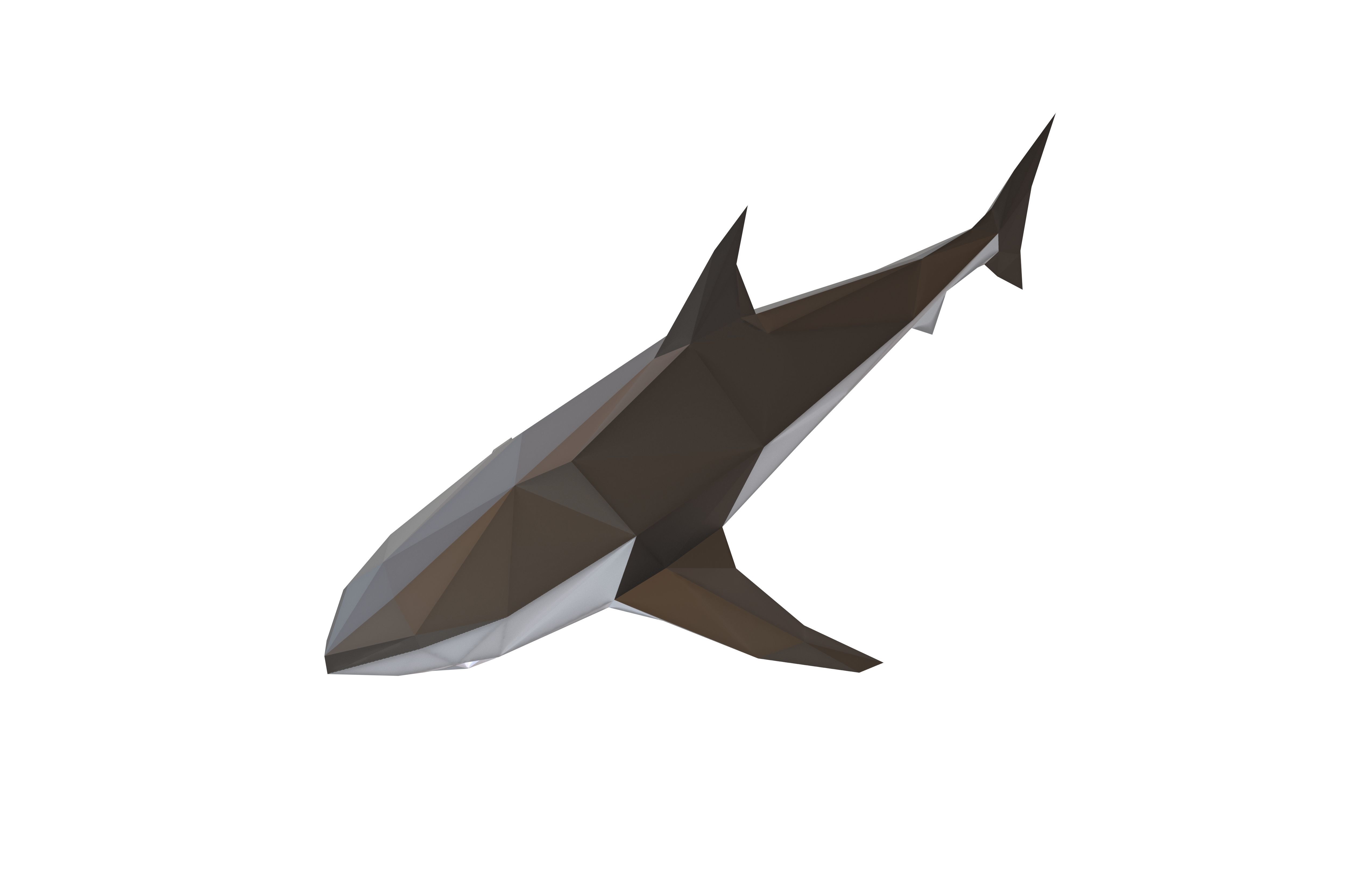 Low Poly Shark v1 009 Low-poly 3D model_1