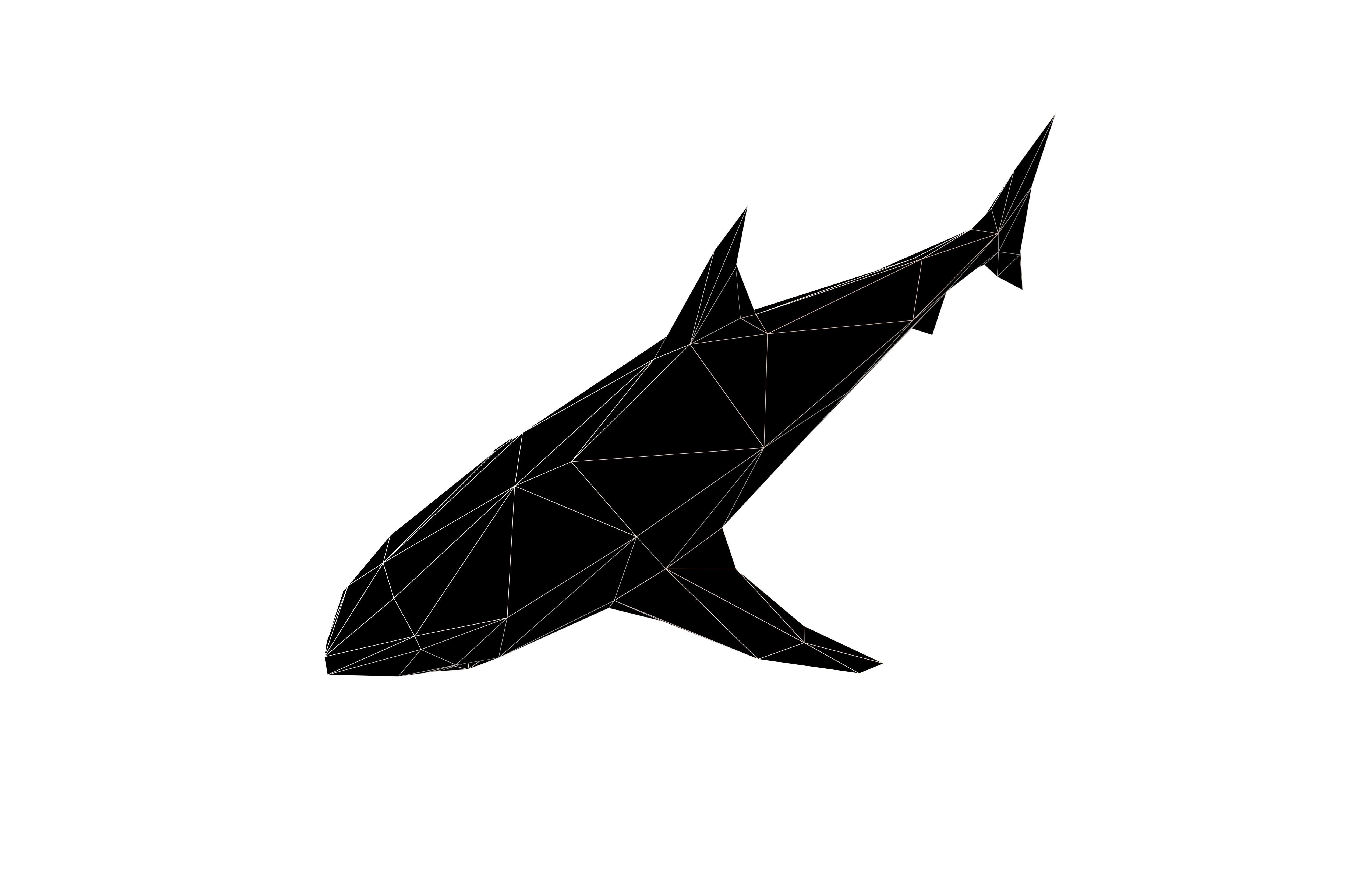 Low Poly Shark v1 009 Low-poly 3D model_7