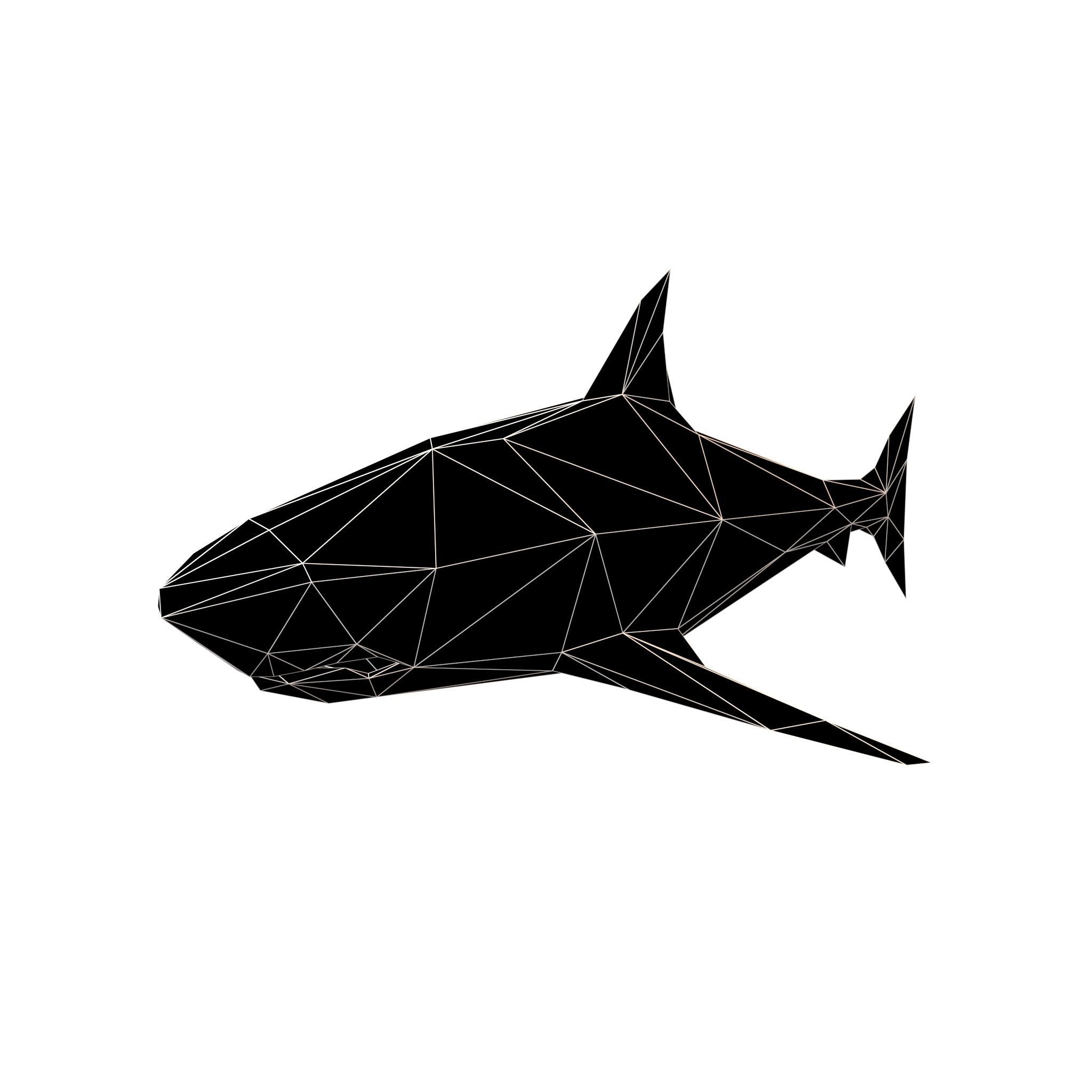 Low Poly Shark v1 012 Low-poly 3D model_6