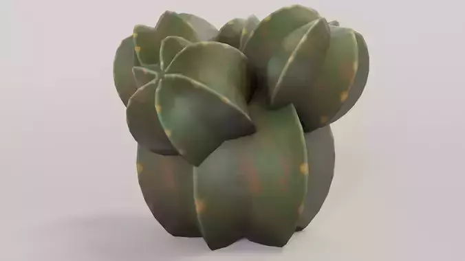 Castus model for unity engine
