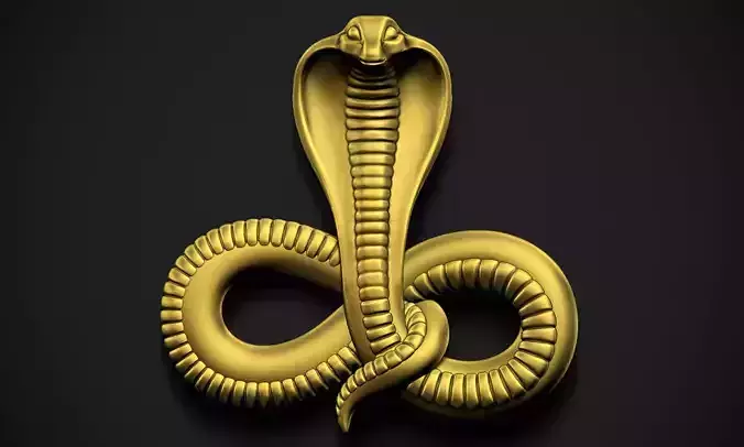 Snake Relief