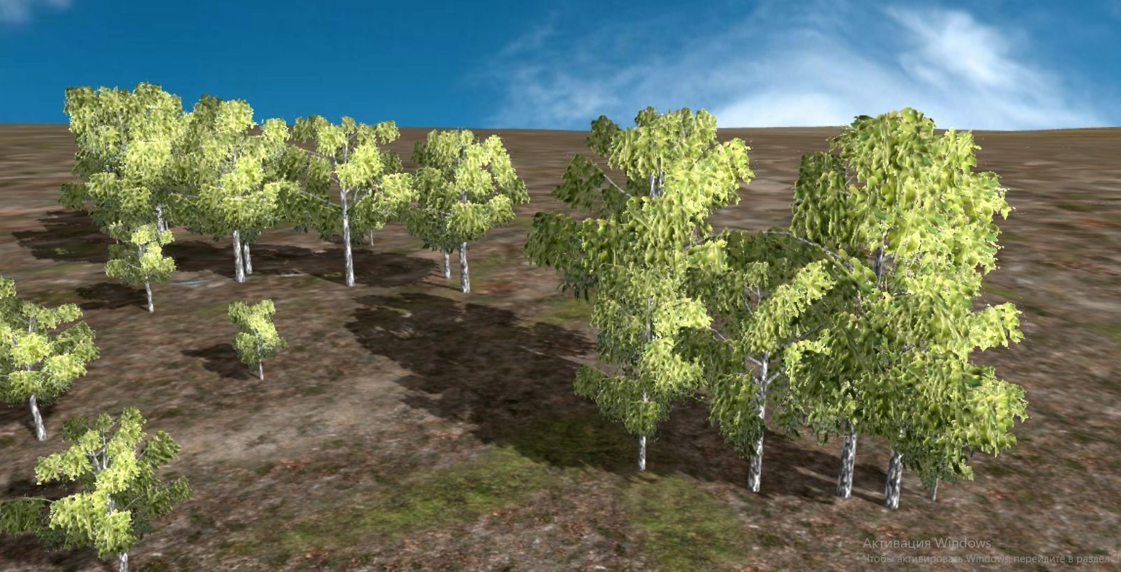 Birch tree low-poly PBR game ready Low-poly 3D model_22