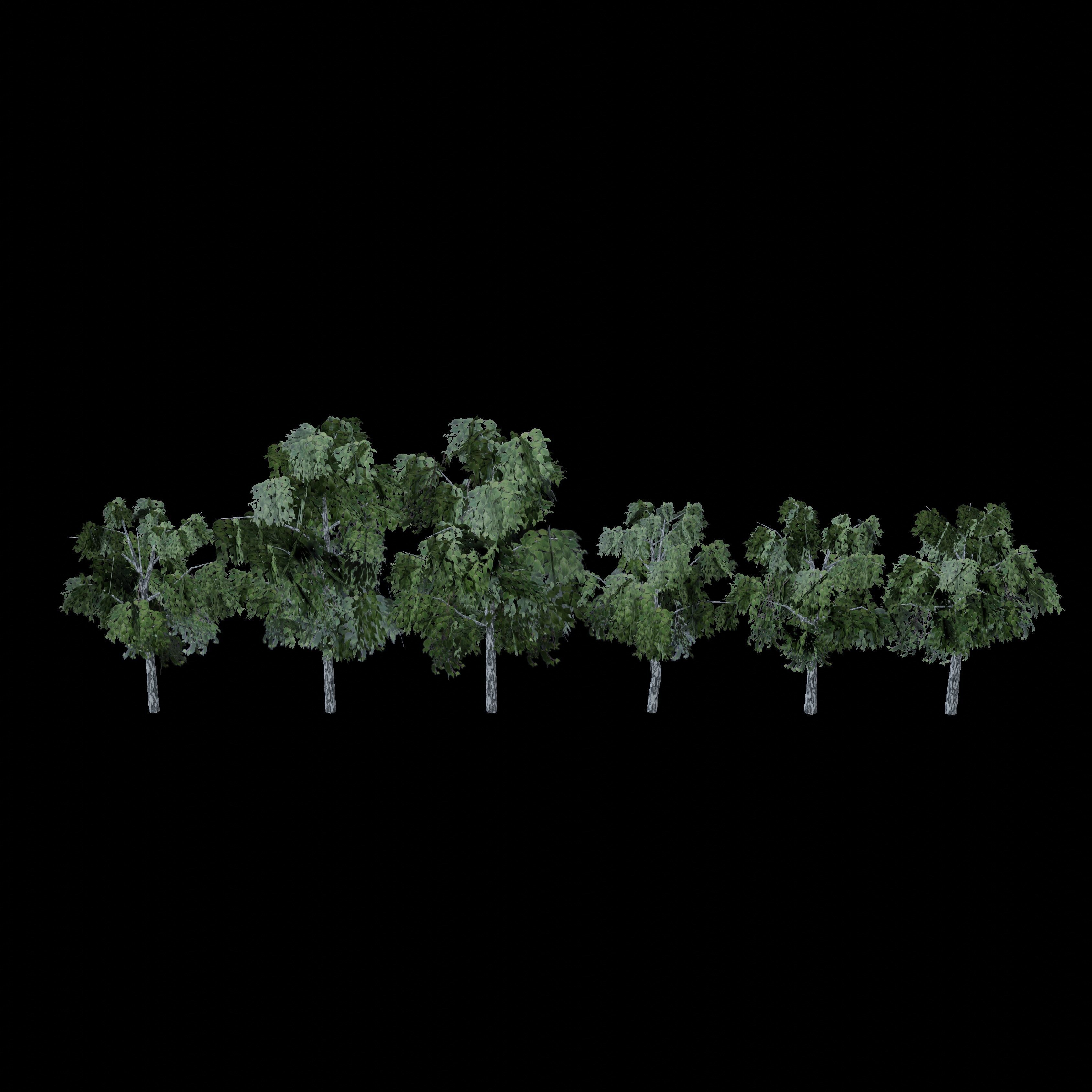 Birch tree low-poly PBR game ready Low-poly 3D model_13