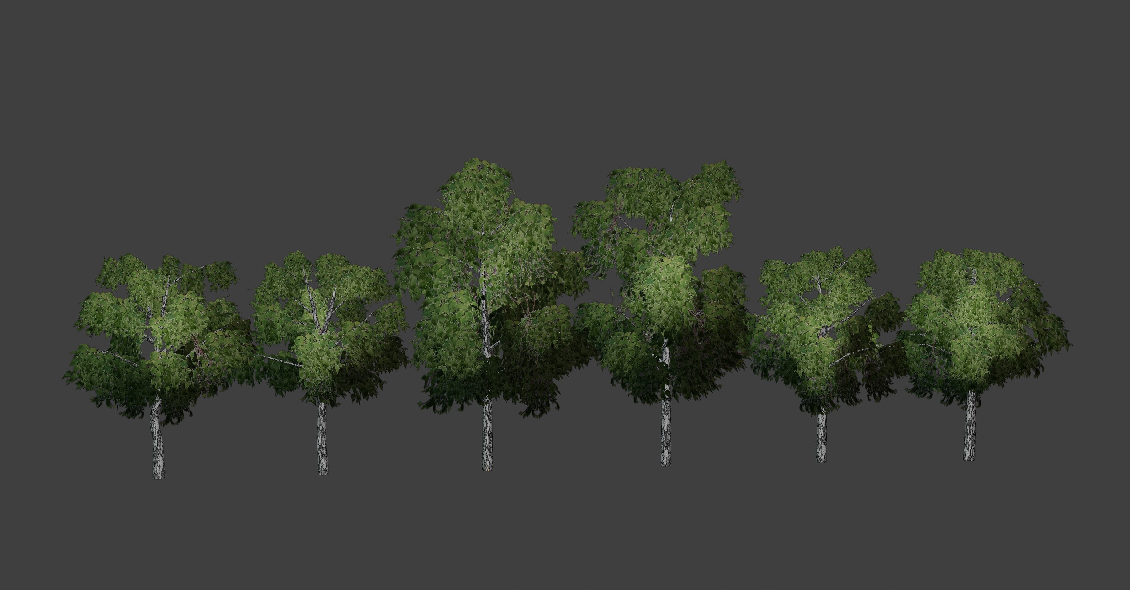 Birch tree low-poly PBR game ready Low-poly 3D model_10