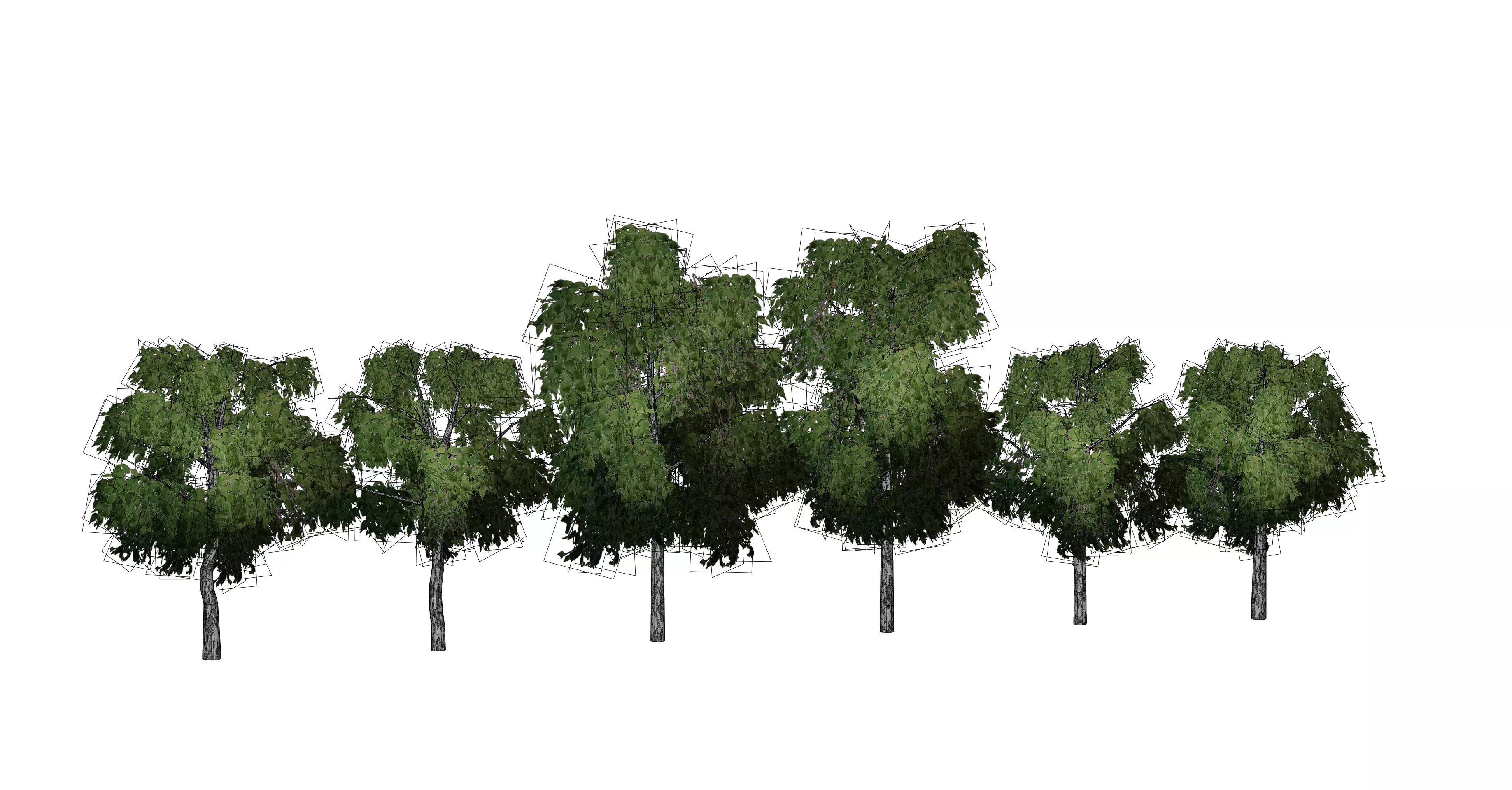 Birch tree low-poly PBR game ready Low-poly 3D model_0