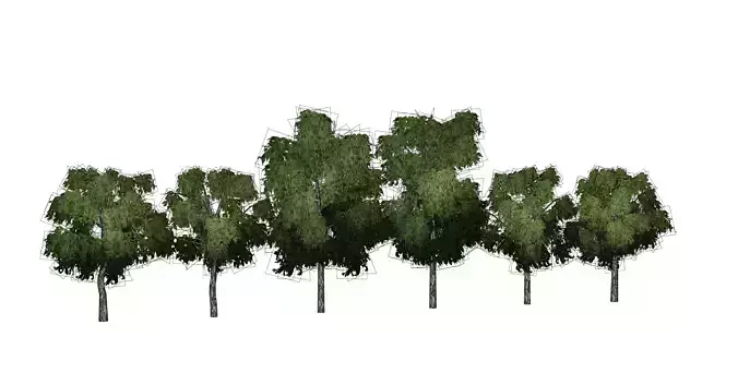Birch tree low-poly PBR game ready Low-poly 3D model