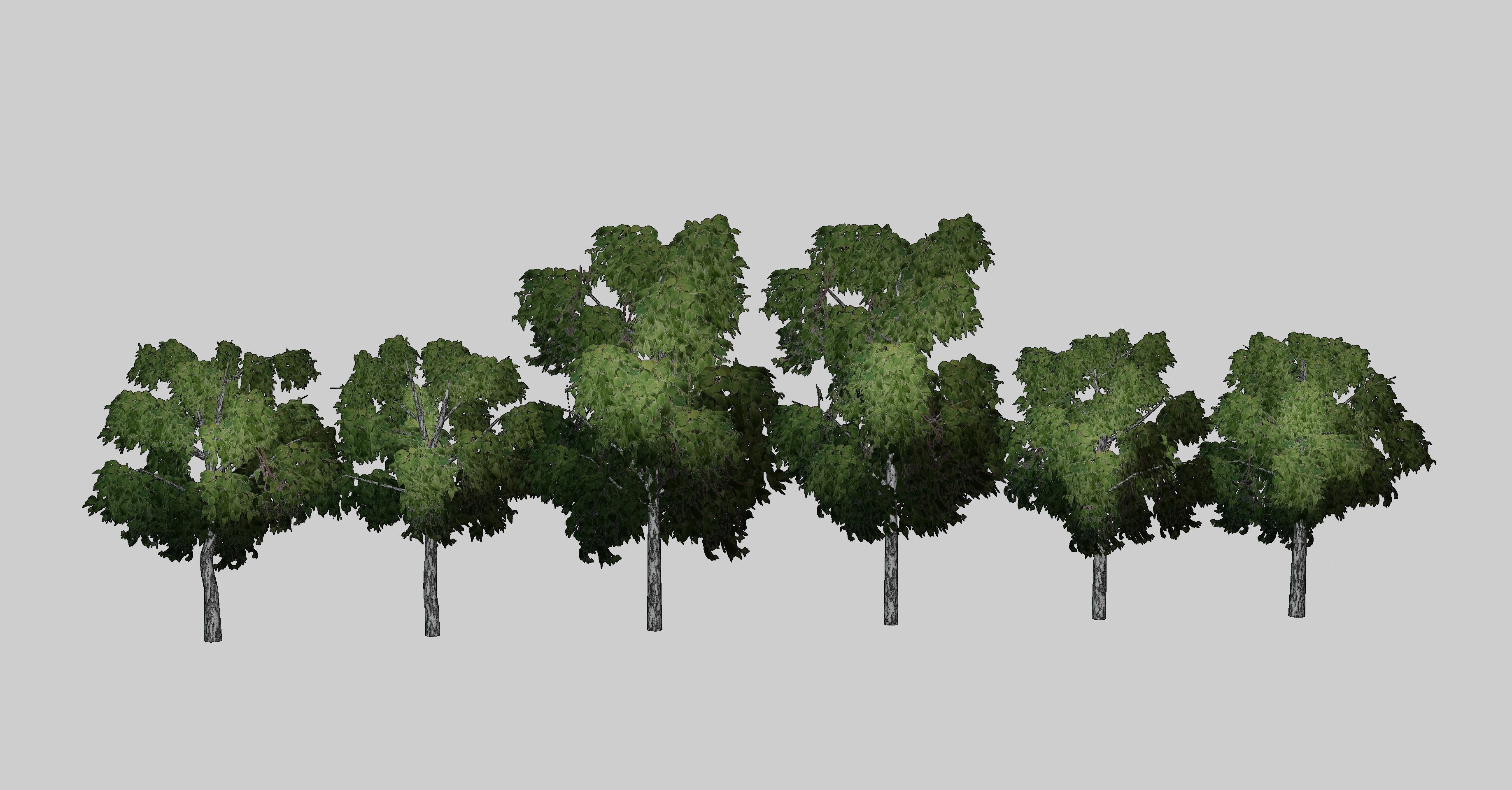 Birch tree low-poly PBR game ready Low-poly 3D model_8