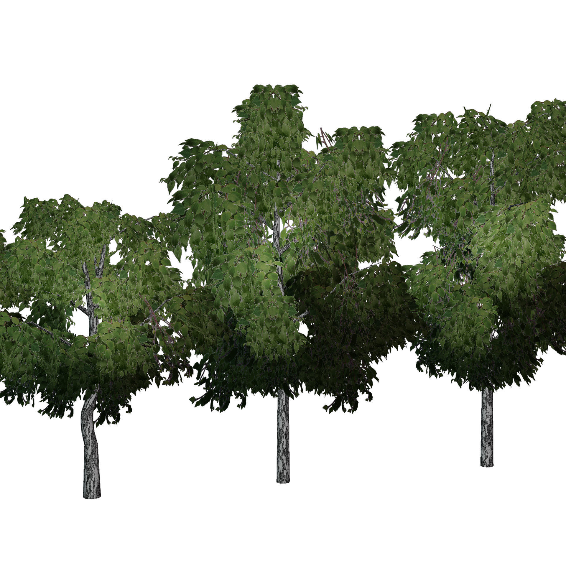 Birch tree low-poly PBR game ready Low-poly 3D model_6