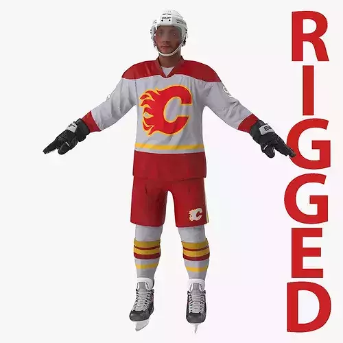 Hockey Player Calgary Flames Rigged