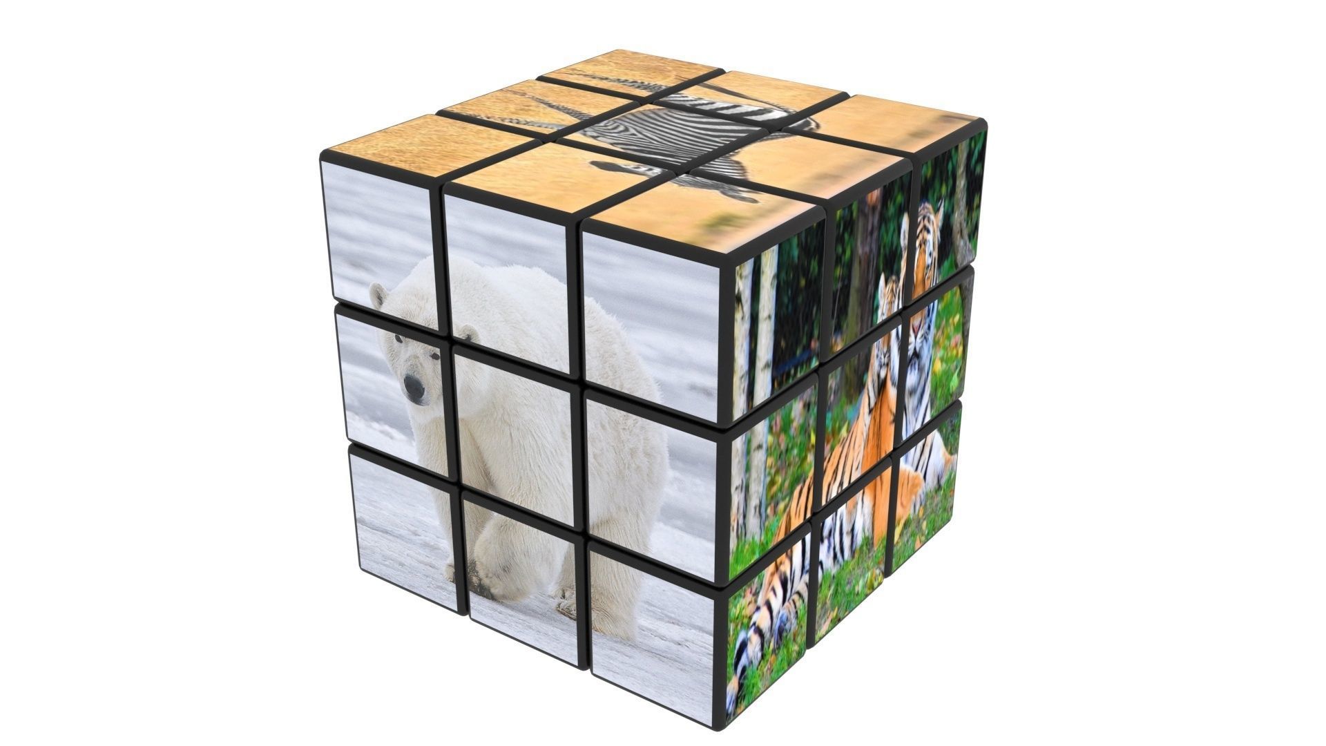 Rubiks Cubes Set With Pictures 3D model_10