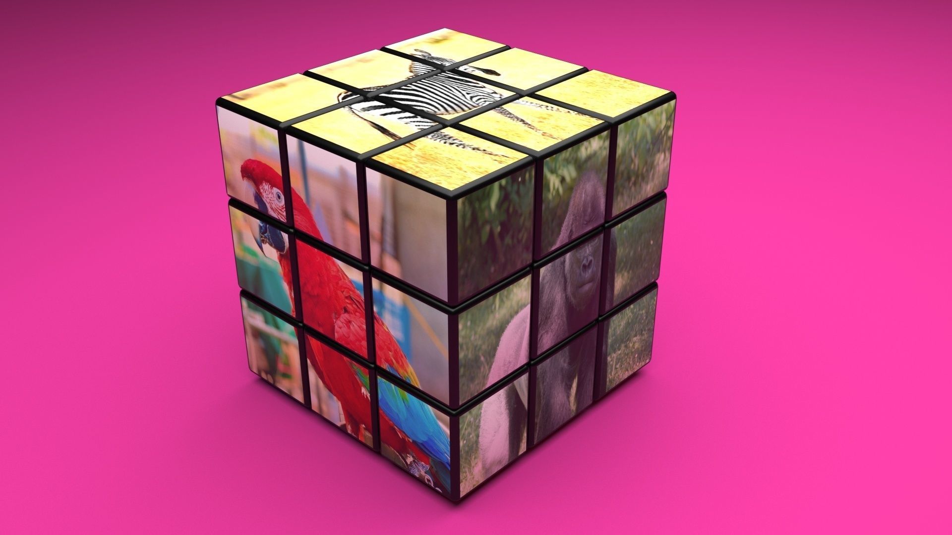 Rubiks Cubes Set With Pictures 3D model_38