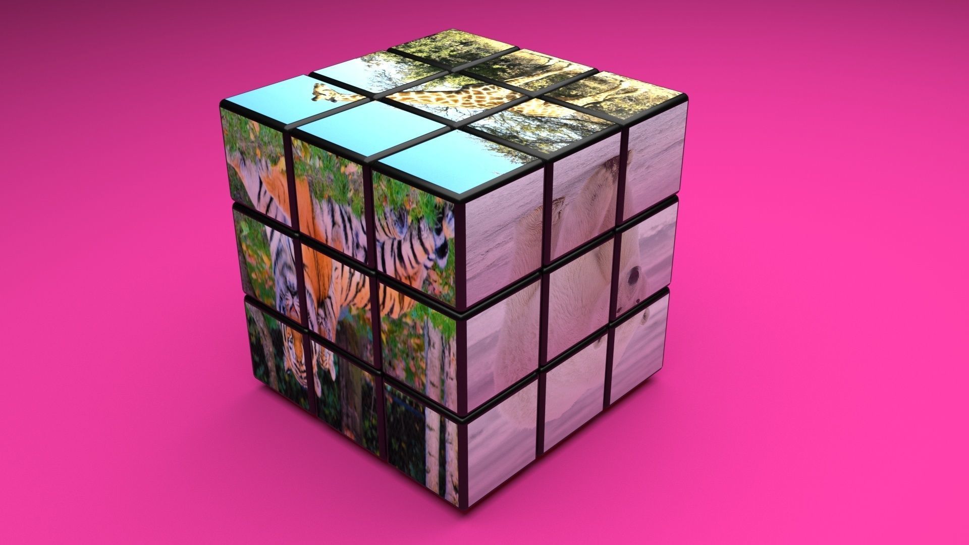 Rubiks Cubes Set With Pictures 3D model_39