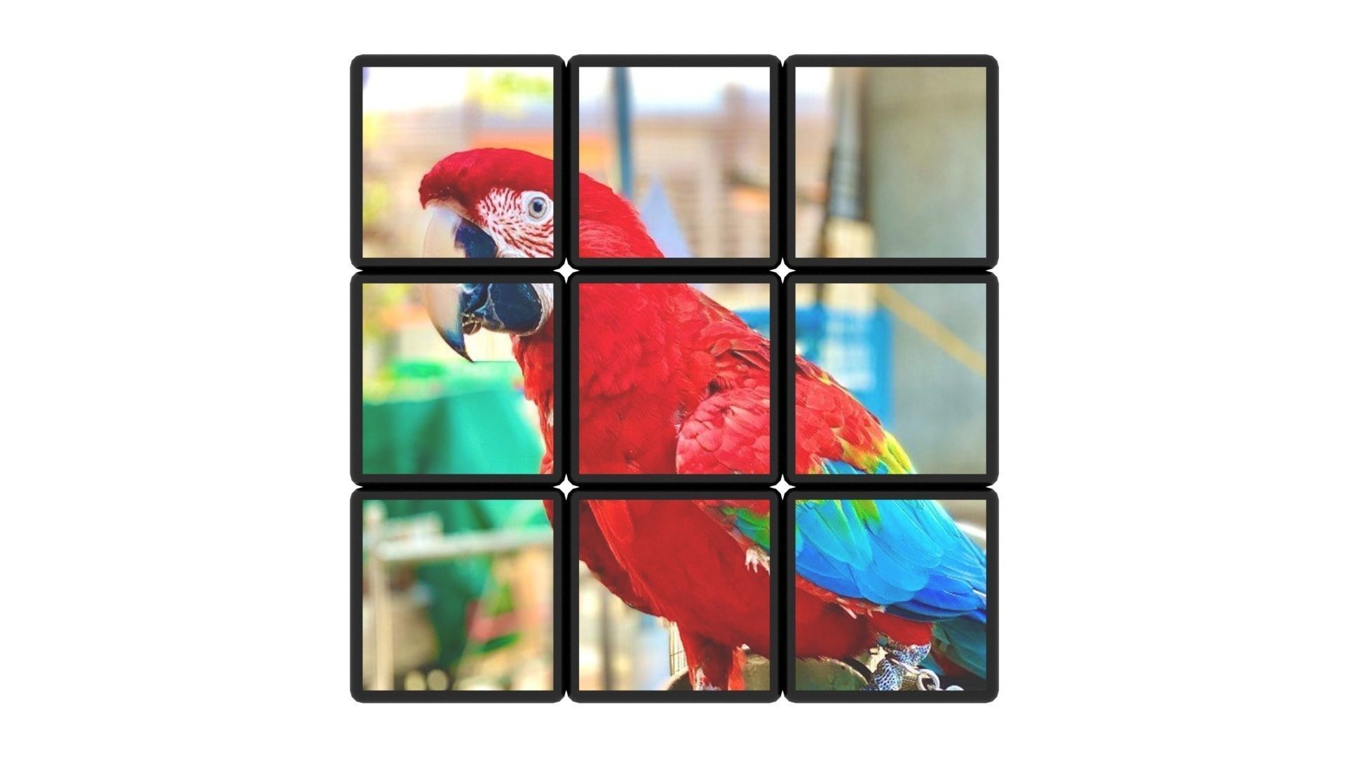 Rubiks Cubes Set With Pictures 3D model_22