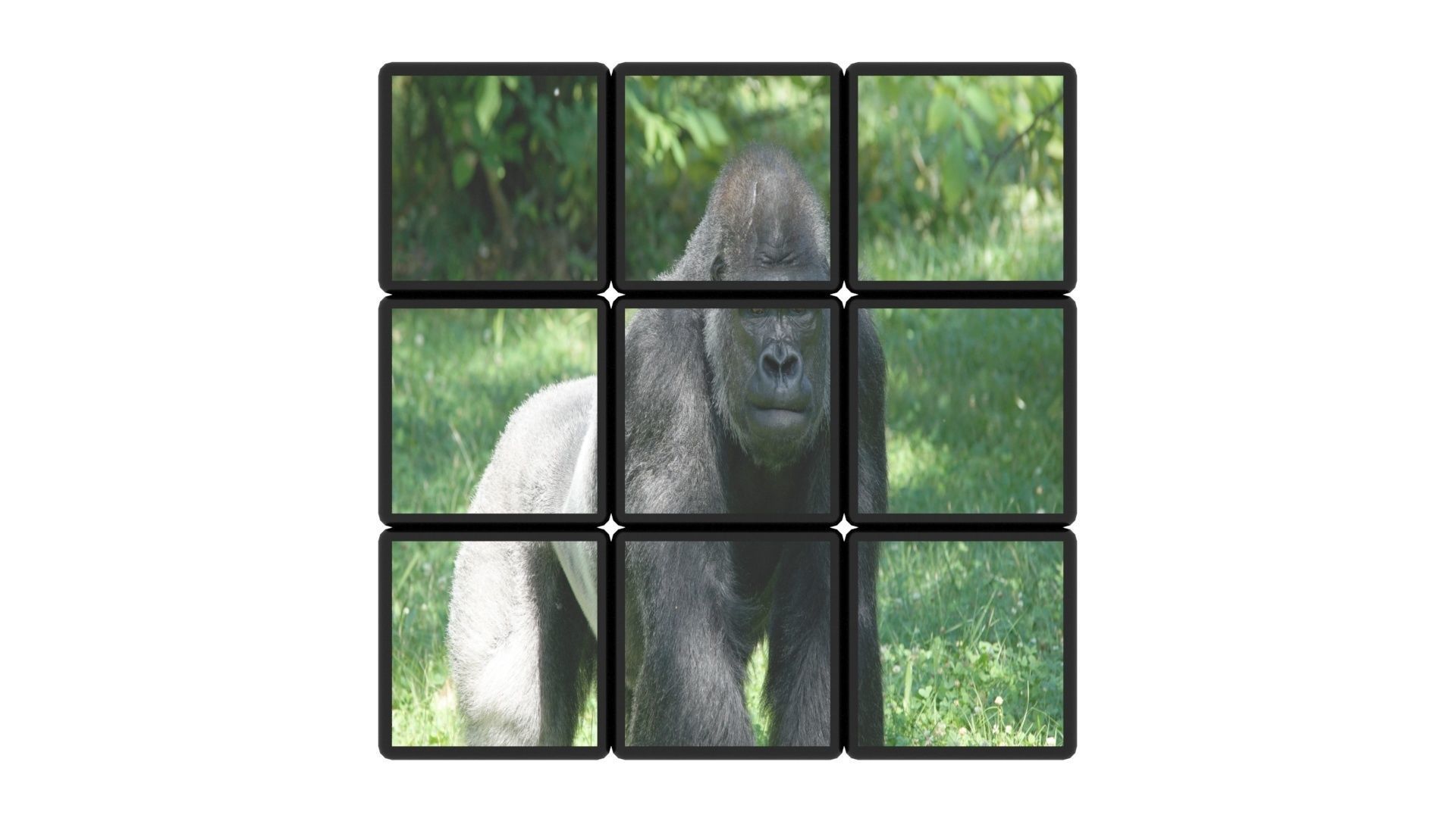 Rubiks Cubes Set With Pictures 3D model_26