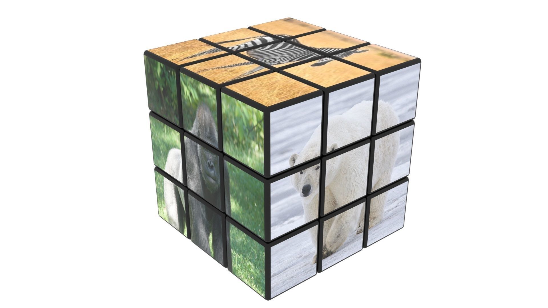 Rubiks Cubes Set With Pictures 3D model_9