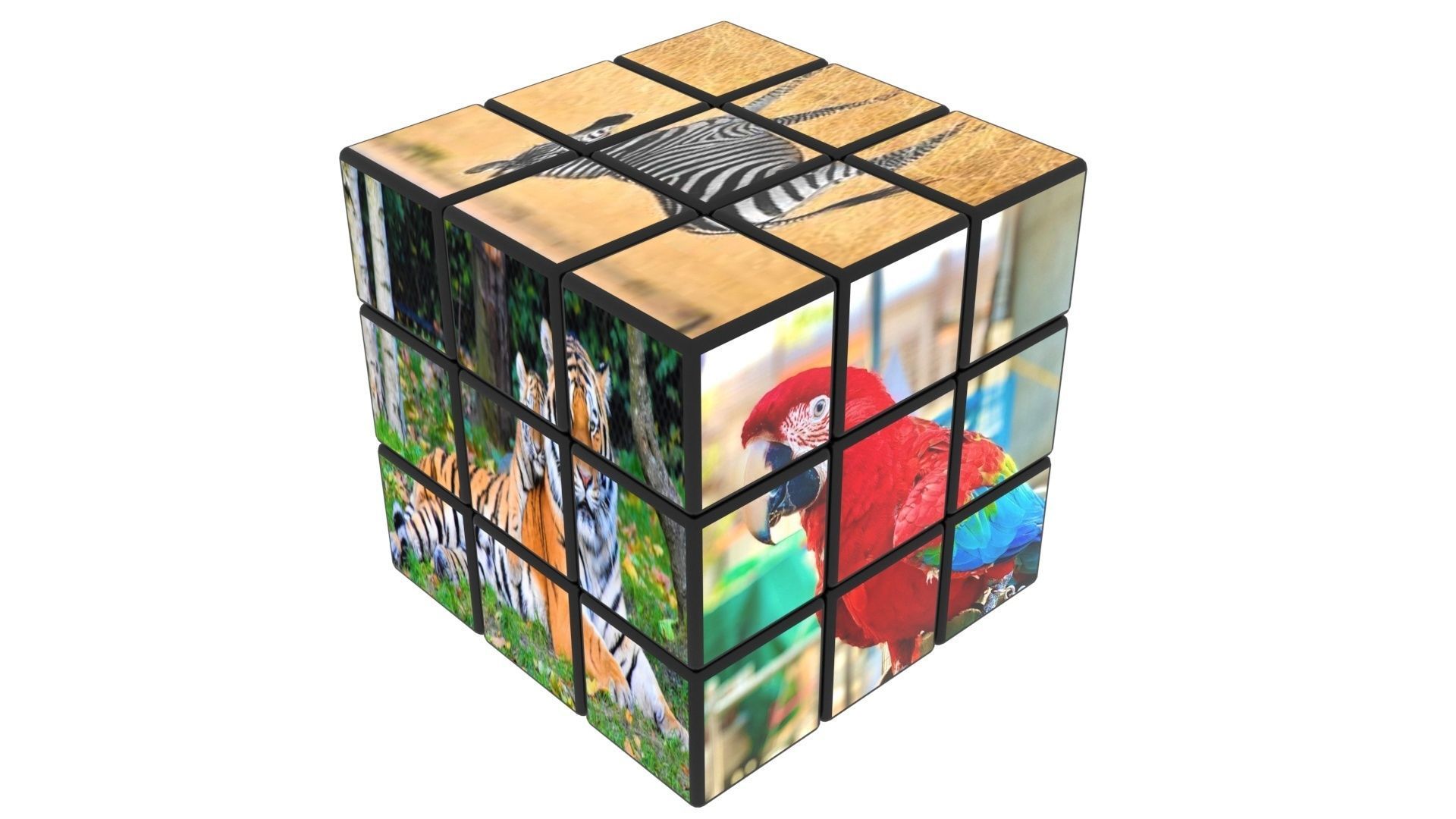 Rubiks Cubes Set With Pictures 3D model_11