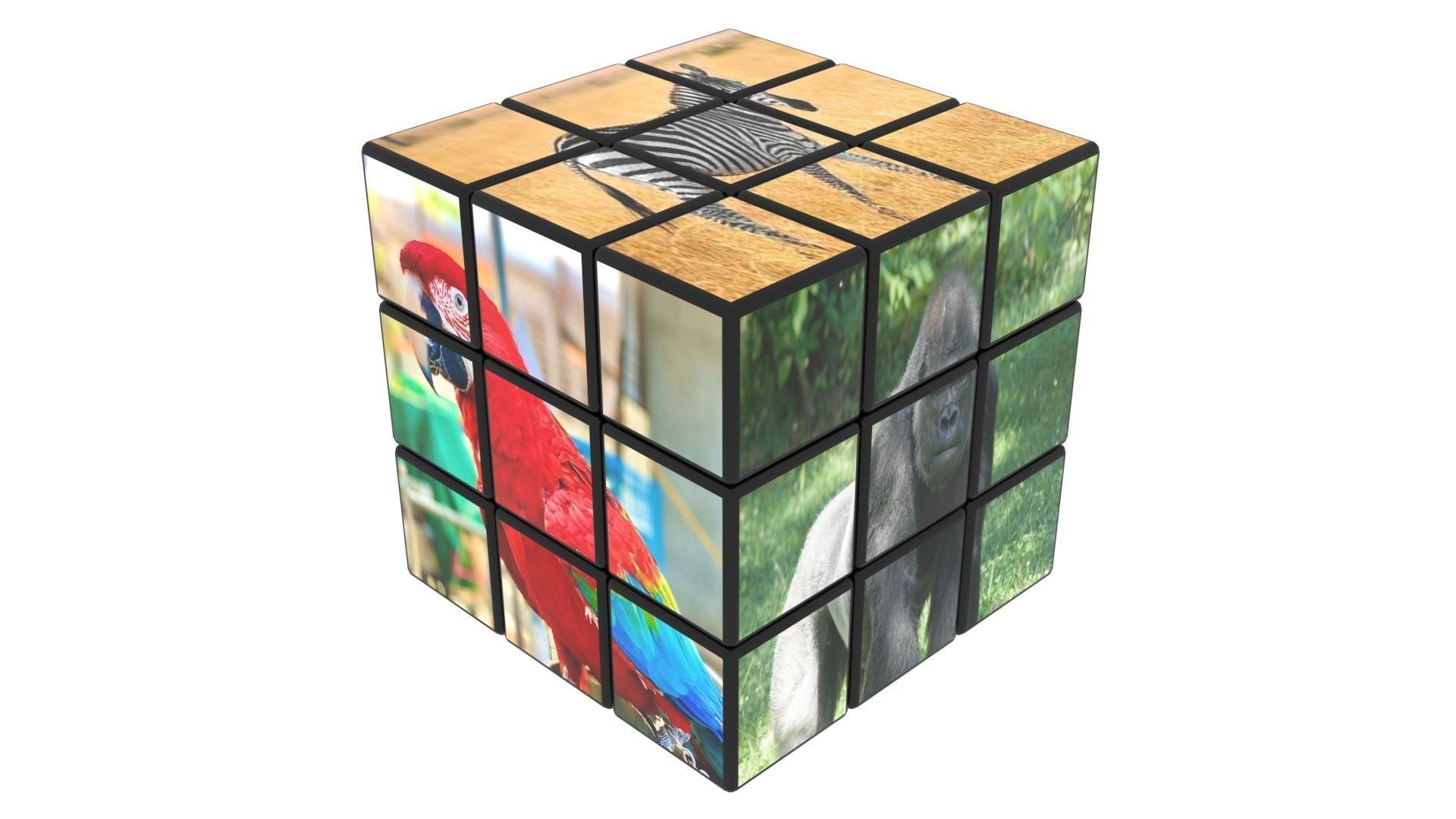 Rubiks Cubes Set With Pictures 3D model_8