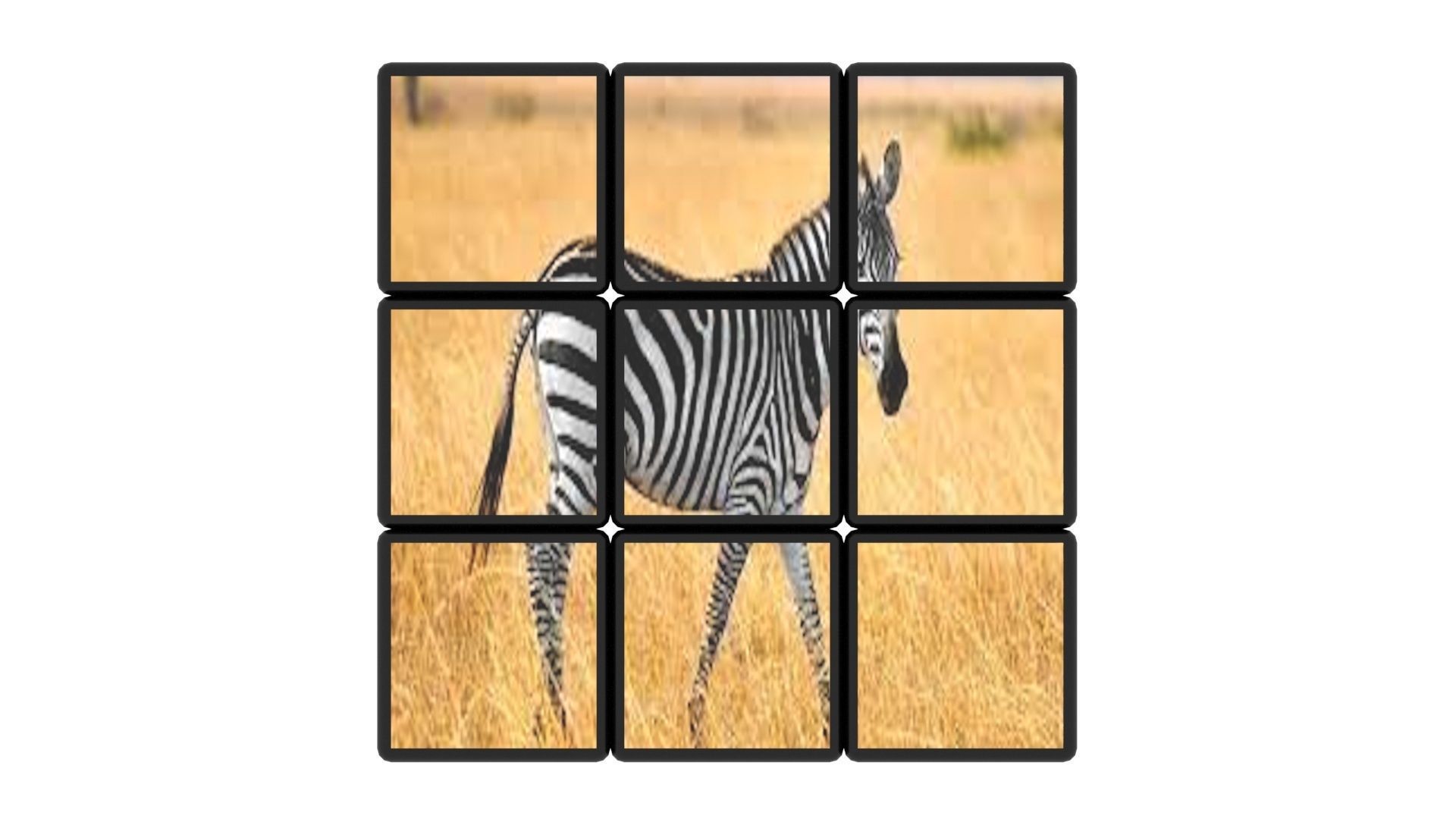 Rubiks Cubes Set With Pictures 3D model_27