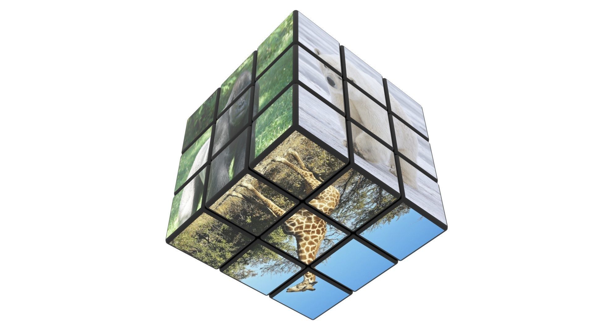 Rubiks Cubes Set With Pictures 3D model_13