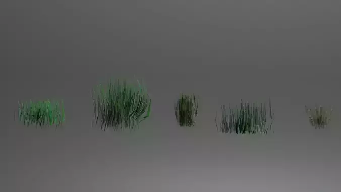 Grass Clumps 3D model