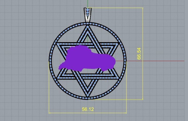 Star of David pendant with lion Model 1947 3D print model_6