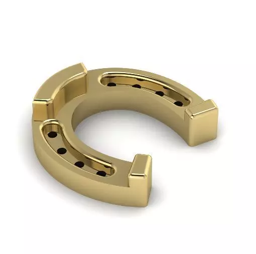 Horseshoe Model 1998 3D print model_0