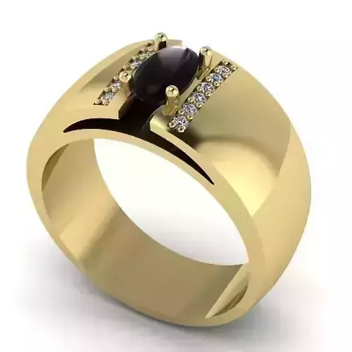 Ring Model 2024