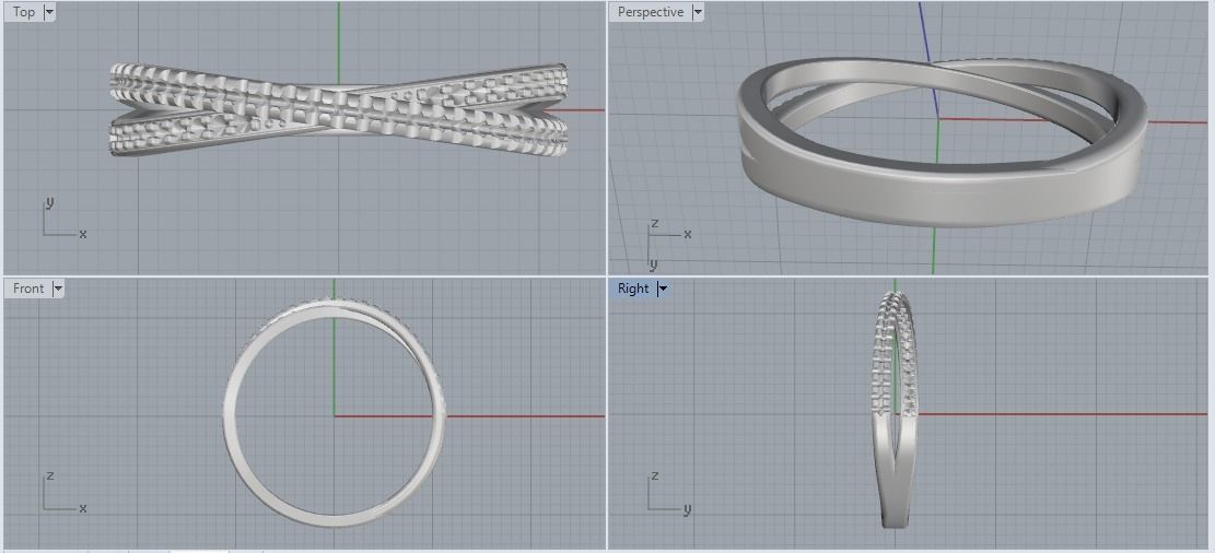 Ring Model 2020 3D print model_5