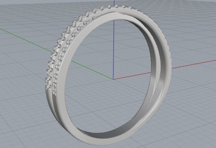 Ring Model 2020 3D print model_4