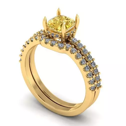 Double ring Model 2016 3D print model